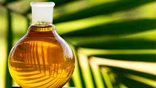 Аллергия на пальмовое масло 