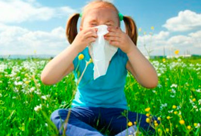 Особенности аллергии на траву
