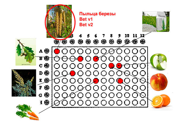 Описание таблицы