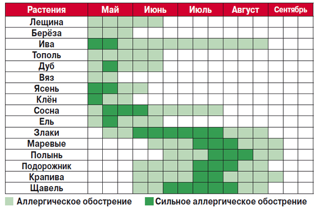 Календарь аллергии